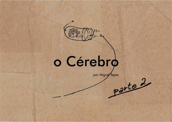 o Cérebro parte 2
o Cérebro parte 2